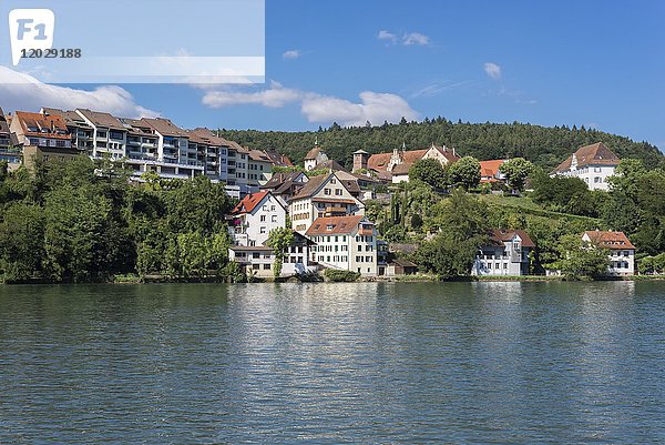 Stadt Waldshut  Waldshut-Tiengen  vom Schweizer Rheinufer aus gesehen  Baden Württemberg  Deutschland  Europa