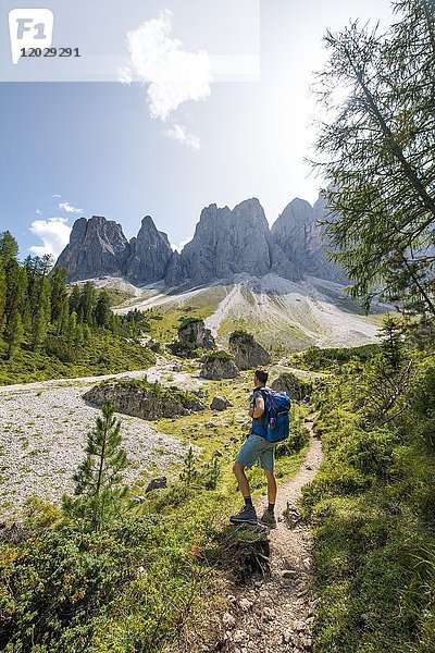 Wanderer auf dem Wanderweg zur Geisleralm im Villnösstal unterhalb der Geislerspitzen  hinter der Geislergruppe  Sass Rigais  Dolomiten  Südtirol  Italien  Europa
