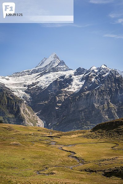 Bach  Blick auf Großes Fiescherhorn  Eiger  Mönch  Jungfrau  Grindelwald  Bern  Schweiz  Europa