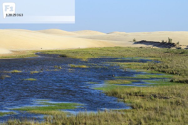 Wanderdünen und Grundwassersee  Parque Regional Lomas de Arena  Santa Cruz  Santa Cruz  Bolivien  Südamerika