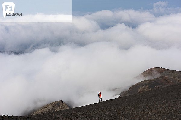 Wanderer auf Lavafeld  Gipfelregion  Vulkan Hekla  Südisland  Island  Europa