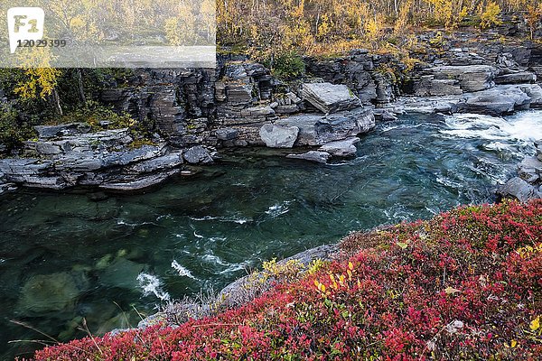Herbstliche Abisko-Schlucht  Fluss Abiskojåkka  Abiskojakka  Abisko-Nationalpark  Norrbottens  Norrbottens län  Lappland  Lappland  Schweden  Europa