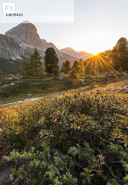 Sonnenaufgang vor den Gipfeln von Col dei Bos und Tofane  Falzaregopass  Dolomiten  Südtirol  Trentino-Südtirol  Italien  Europa