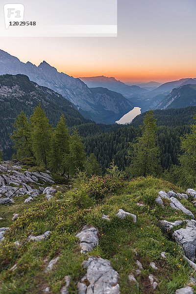 Panorama  Blick über den Königssee vom Feldkogel  links Watzmann Südspitze und Watzmann-Kinder  Sonnenuntergang  Nationalpark Berchtesgaden  Berchtesgadener Land  Oberbayern  Bayern  Deutschland  Europa