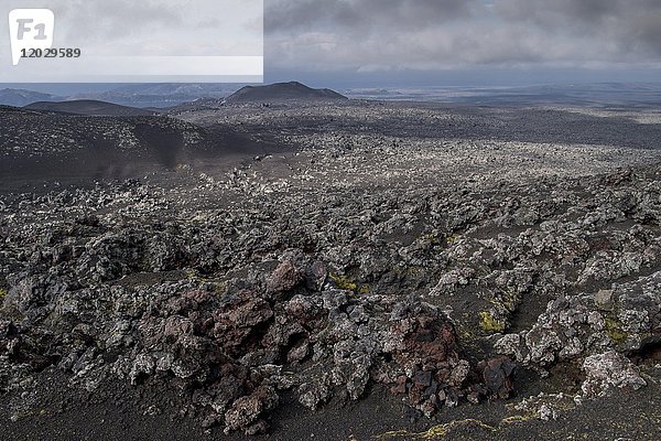 Lavafelder  Vulkan Hekla  Südisland  Island  Europa