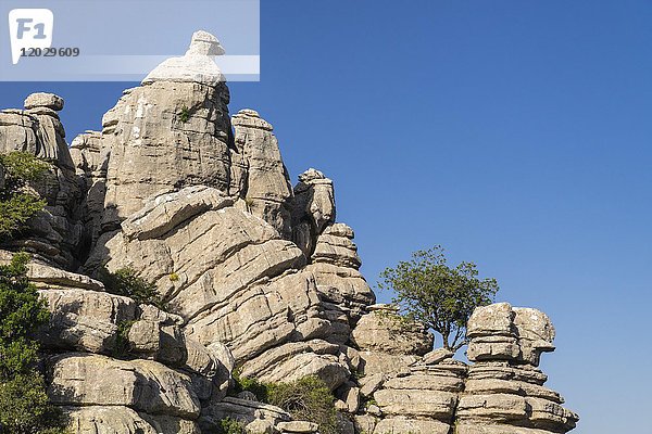 Bizarre Kalksteinfelsen  Naturpark El Torcal  Antequera  Provinz Malaga  Andalusien  Spanien  Europa