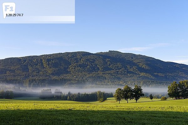 Sulzkopf  gesehen von Reichersbeuern  Tölzer Land  Alpenvorland  Oberbayern  Bayern  Deutschland  Europa