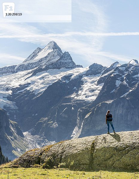 Wanderer auf einem Felsen  im Rücken schneebedeckte Eiger Nordwand  Eiger  Mönch  Jungfrau  Grosses Fiescherhorn  Grindelwald  Bern  Schweiz  Europa