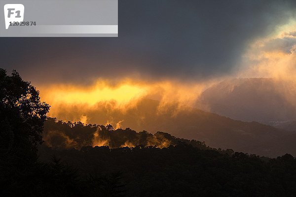 Sonnenuntergang im Los Quetzales National Park  Dschungel  Nebelwald  Provinz San José  Costa Rica  Mittelamerika