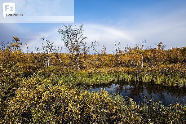 Kleiner See  Herbstlandschaft mit Regenbogen  Norrbottens  Norrbottens län  Laponia  Lappland  Schweden  Europa