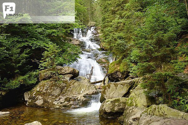 Rissloch Wasserfälle  Rieslochfälle  Risslochschlucht  Bodenmais  Bayerischer Wald  Niederbayern  Bayern  Deutschland  Europa