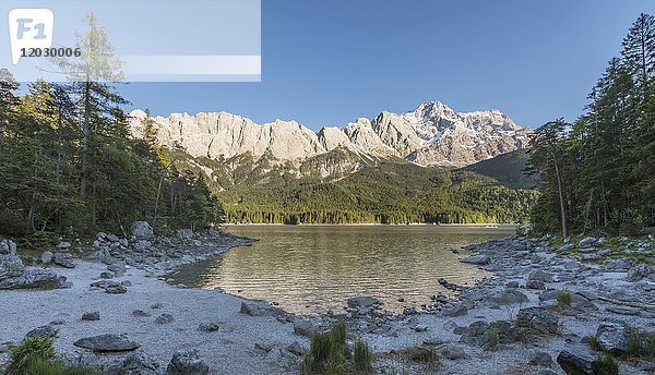 Eibsee und Zugspitze  Wettersteingebirge  bei Grainau  Oberbayern  Bayern  Deutschland  Europa