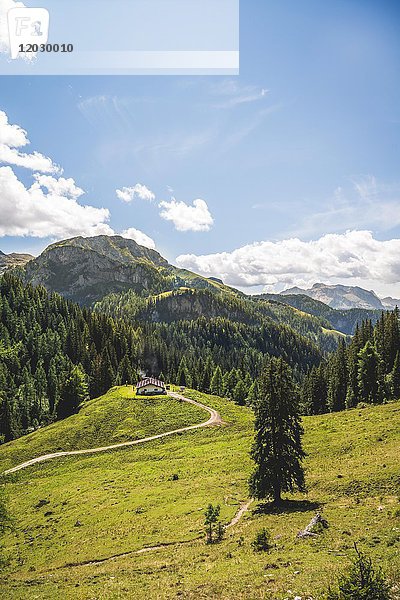 Alm  Hütte  Königsberg-Alm  Wanderweg zum Jenner  Nationalpark Berchtesgaden  Berchtesgadener Land  Oberbayern  Bayern  Deutschland  Europa