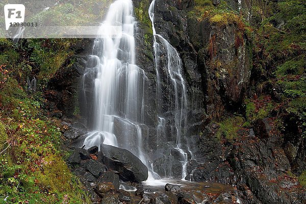 Wasserfall  Grand Cascade de Tendon  Vogesen  Elsass  Frankreich  Europa
