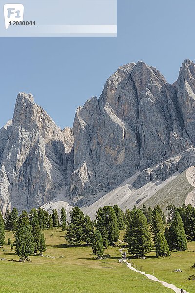 Wanderweg bei der Gschnagenhardt Alm  Villnößtal unterhalb der Geislerspitzen  hinter der Geislergruppe  Sass Rigais  Dolomiten  Südtirol  Italien  Europa