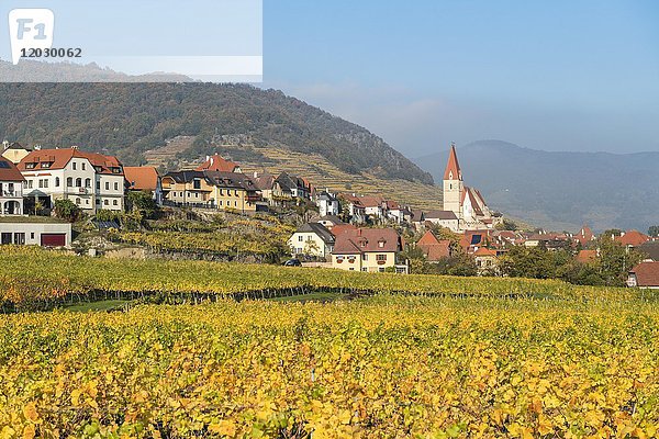 Blick auf Weißenkirchen in der Wachau  Wehrkirche  Wachau  Waldviertel  Niederösterreich  Österreich  Europa