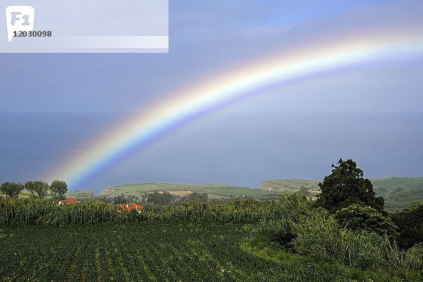 Regenbogen bei Ginetes  Insel Sao Miguel  Azoren  Portugal  Europa