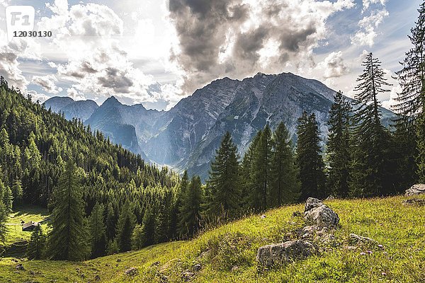 Blick auf den Watzmann  Nationalpark Berchtesgaden  Berchtesgadener Land  Oberbayern  Bayern  Deutschland  Europa