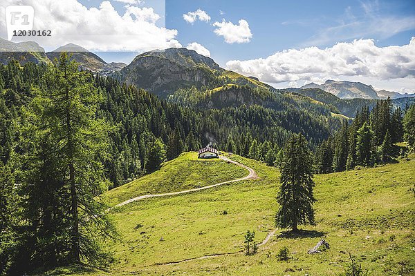 Alm  Hütte  Königsberg-Alm  Wanderweg zum Jenner  Nationalpark Berchtesgaden  Berchtesgadener Land  Oberbayern  Bayern  Deutschland  Europa