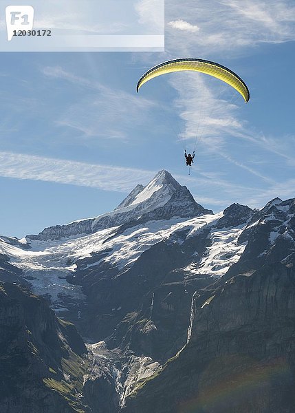 Gleitschirmfliegen am Himmel  Großes Fiescherhorn  Eiger  Mönch  Jungfrau  Grindelwald  Schweiz  Europa