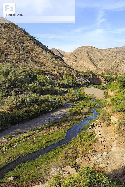 Hoanib-Fluss  Khowarib-Schlucht  Damaraland  Kunene-Region  Namibia  Afrika