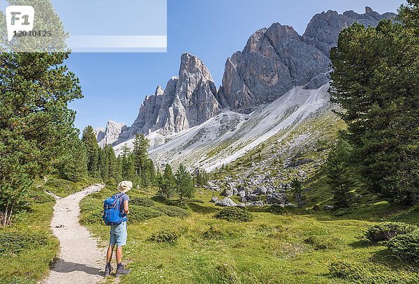 Wanderer auf dem Wanderweg zur Geisler Alm  Villnösstal unterhalb der Geislerspitzen  hinter der Geislergruppe  Sass Rigais  Dolomiten  Südtirol  Italien  Europa