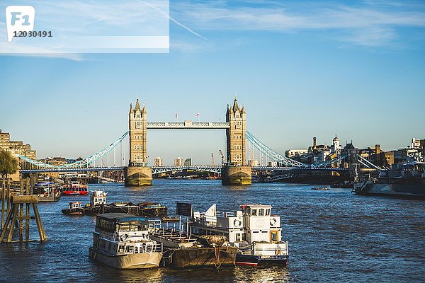 Blick von der London Bridge  Tower Bridge  Themse  Southwark  London  England  Vereinigtes Königreich  Europa
