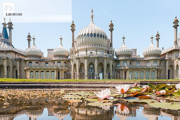 Seerosen in einem Teich vor dem Royal Pavilion Palace  Brighton  East Sussex  England  Großbritannien