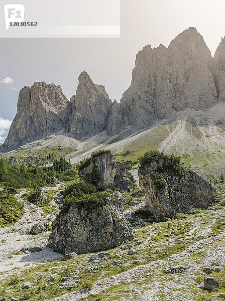 Geröllfeld unterhalb der Geislerspitzen  hinter der Geislergruppe  Villnösstal Sass Rigais  Dolomiten  Südtirol  Italien  Europa