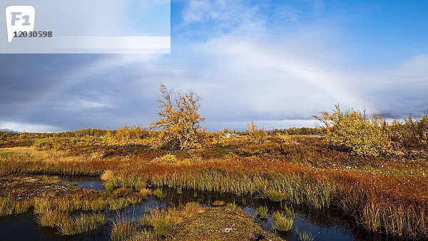 Kleiner See  Herbstlandschaft mit Regenbogen  Norrbottens  Norrbottens län  Laponia  Lappland  Schweden  Europa