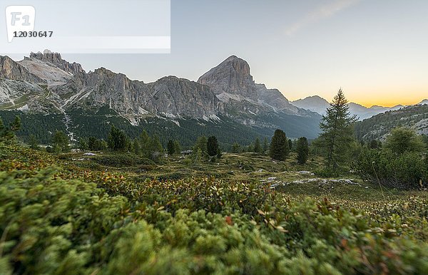 Sonnenaufgang vor den Gipfeln von Col dei Bos und Tofane  Falzaregopass  Dolomiten  Südtirol  Trentino-Südtirol  Italien  Europa