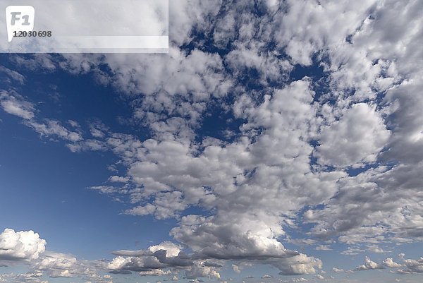 Stratocumulus-Wolke  Schleswig-Holstein  Deutschland  Europa