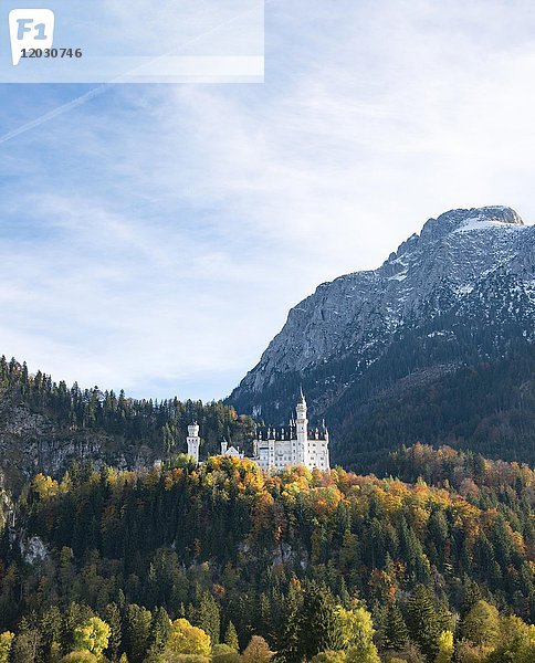 Schloss Neuschwanstein im Herbst  Schwangau  Ostallgäu  Allgäu  Schwaben  Oberbayern  Bayern  Deutschland  Europa