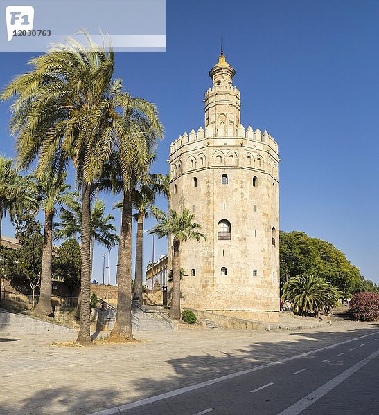 Torre del Oro  Sevilla  Andalusien  Spanien  Europa