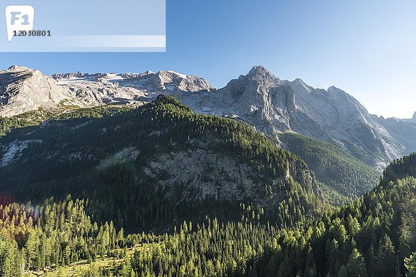 Blick auf Wald und Berge  Gran Vernel  Marmoladapass  Südtirol  Trentino-Südtirol  Südtirol  Italien  Europa