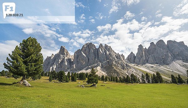 Bergwiese bei der Gschnagenhardt Alm  im Rücken Geislerspitzen  Villnösstal  Sass Rigais  Dolomiten  Südtirol  Italien  Europa