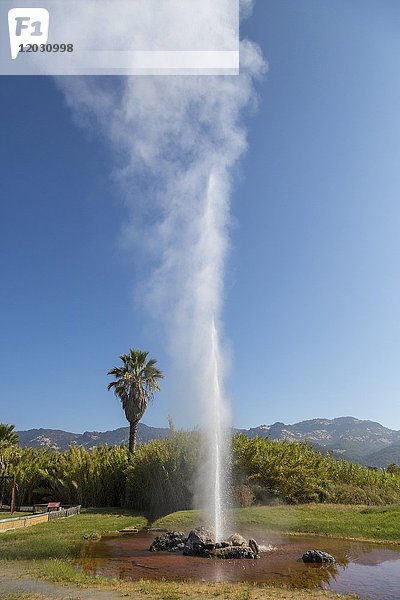 Brunnen des alten Faithfull Geysirs  Calistoga  Napa Valley  Kalifornien  USA  Nordamerika