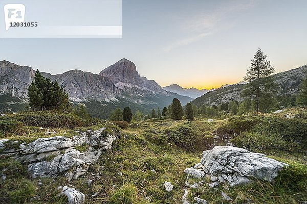 Sonnenaufgang vor den Gipfeln von Col dei Bos und Tofane  Falzaregopass  Dolomiten  Südtirol  Trentino-Südtirol  Italien  Europa