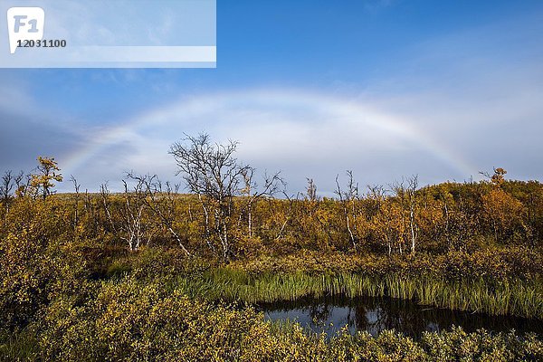 Kleiner See  Herbstlandschaft mit Regenbogen  Norrbottens  Norrbottens län  Laponia  Lappland  Schweden  Europa