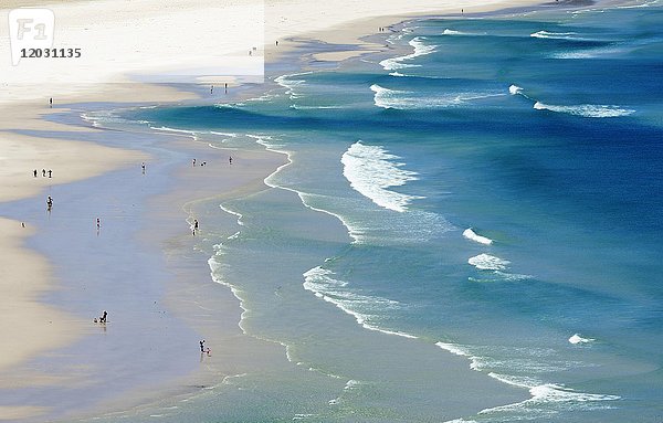 Breiter Sandstrand mit Wellen  Noordhoek Beach  Kapstadt  Westkap  Südafrika  Afrika