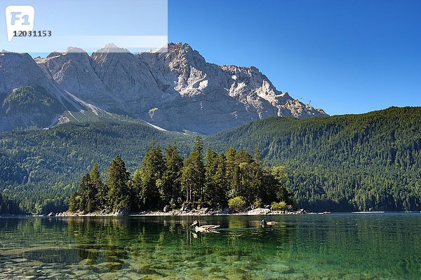 Eibsee mit Sasseninsel und Zugspitze  bei Grainau  Wettersteingebirge  Werdenfelser Land  Oberbayern  Bayern  Deutschland  Europa