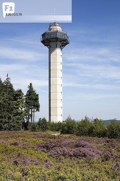 Hochheideturm  Aussichtsturm auf dem Ettelsberg  Willingen  Rothaargebirge  Sauerland  Hessen  Deutschland  Europa