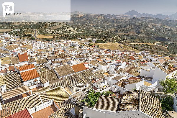 Blick über das weiße Dorf  Olvera  Provinz Cádiz  Andalusien  Spanien  Europa