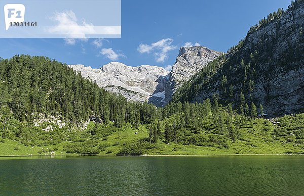 Grünsee  hintere Hochscheibe  Nationalpark Berchtesgaden  Berchtesgadener Land  Oberbayern  Bayern  Deutschland  Europa