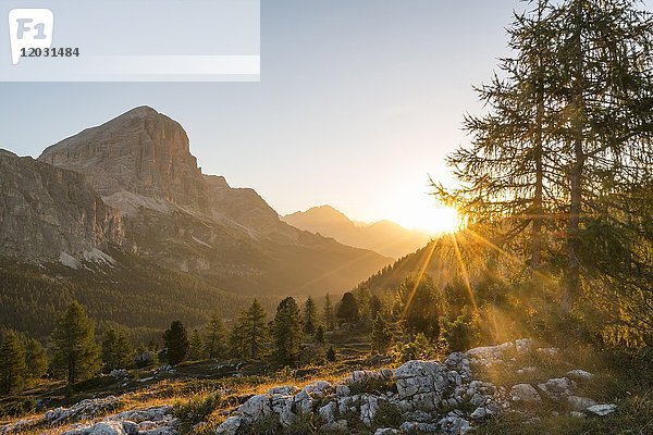 Sonnenaufgang vor den Gipfeln von Col dei Bos und Tofane  Falzaregopass  Dolomiten  Südtirol  Trentino-Südtirol  Italien  Europa