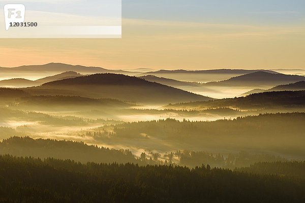 Morgennebel im Nationalpark Sumava in Tschechien  ?umava  Blick vom Siebensteinkopf  bei Finsterau  Bayerischer Wald  Niederbayern  Bayern  Deutschland  Europa