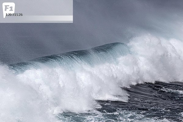 Brechende Wellen  starker Wellengang  Gischt  Insel Faial  Azoren  Portugal  Europa