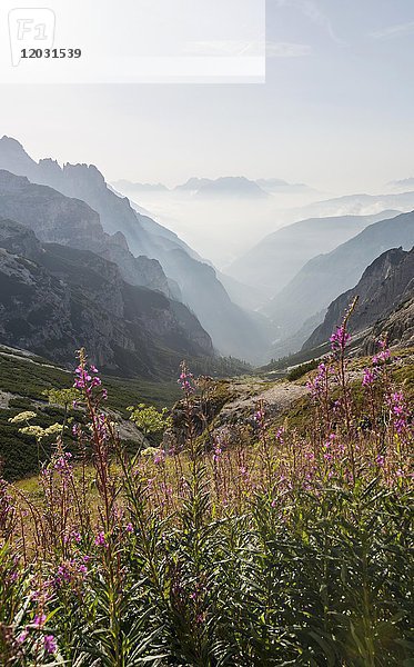 Blick ins Tal  Sextner Dolomiten  Südtirol  Trentino-Südtirol  Südtirol  Italien  Europa