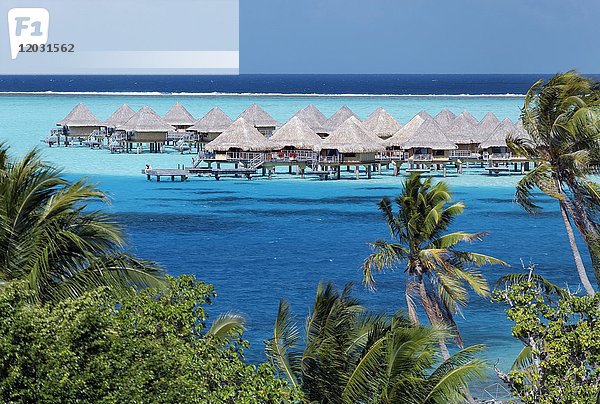 Bungalows im türkisfarbenen Meer  Sofitel Bora Bora Resort  Insel  Bora Bora  Gesellschaftsinseln  Französisch Polynesien  Ozeanien