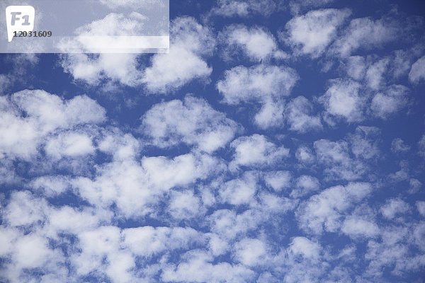Cirrocumulus  Schäfchenwolken  Wolken einer Schlechtwetterfront  Österreich  Europa